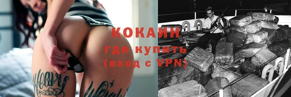 ешки Гусев