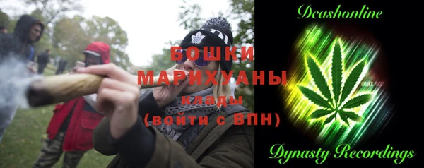 ешки Гусев