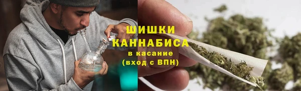 ешки Гусев