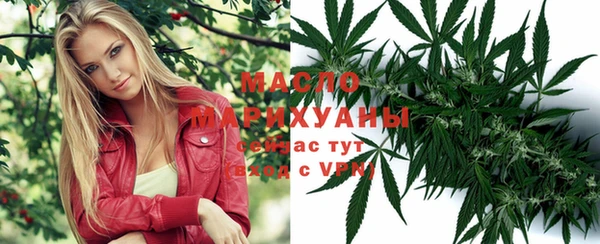 ешки Гусев