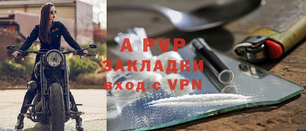 ешки Гусев