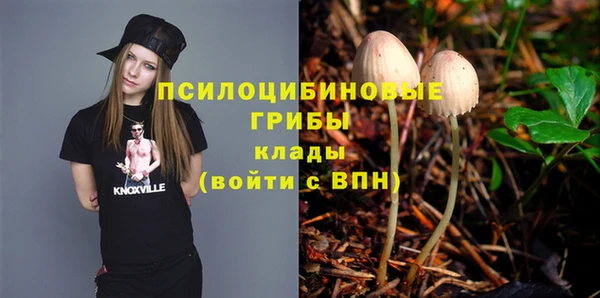 ешки Гусев