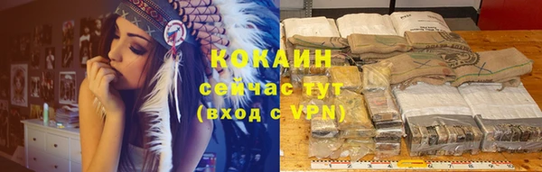 ешки Гусев