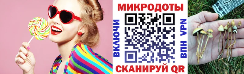 Галлюциногенные грибы мицелий  Купить  Красный Холм 